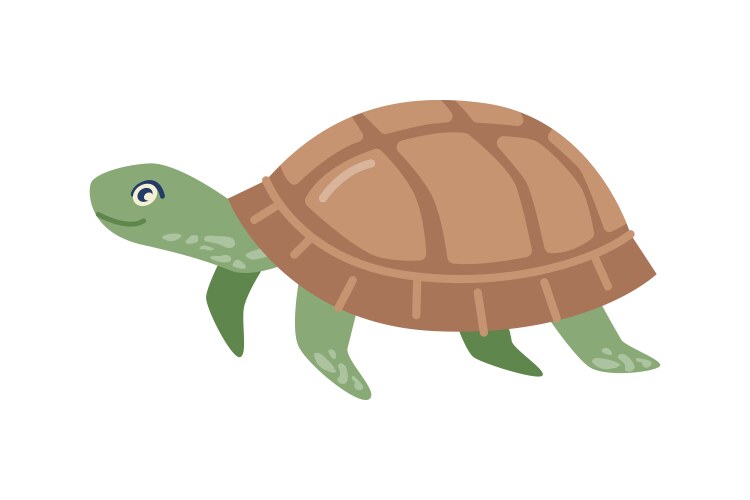 Turtle Royalty Free Vector Image - VectorStock
