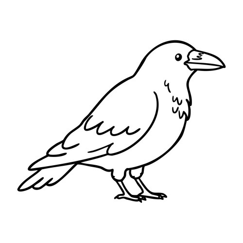 Crow drawing line Vector Images & Graphics for Commercial Use | VectorStock