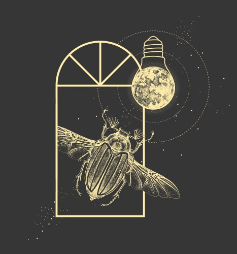 Witchcraft window silhouette with june beetle vector image