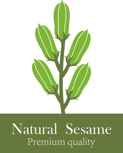 Sesame frame Royalty Free Vector Image - VectorStock