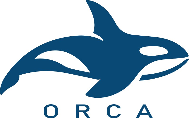 Modern minimalist orca whale logo vector image