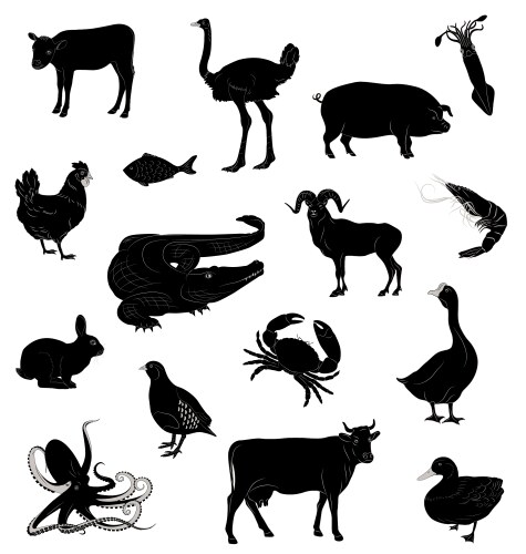 Animal Silhouettes Collection Vector Image