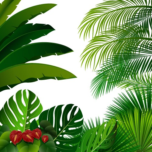 Tropical Palm Leaves Background Vector Image