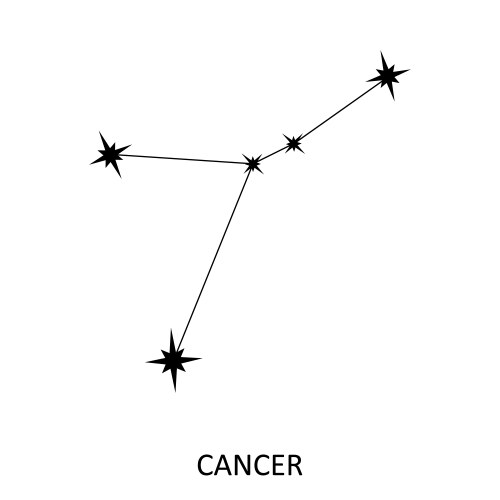 Constellation taurus zodiac sign Royalty Free Vector Image