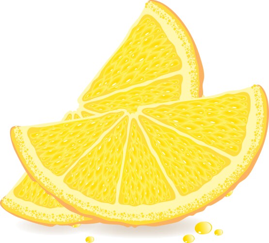 Realistic orange slice Royalty Free Vector Image