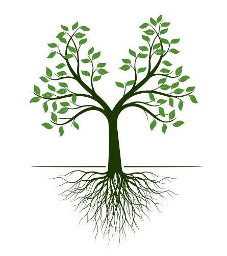 shape green tree with roots outline vector image