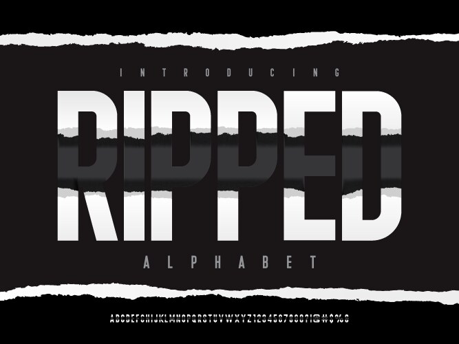 Ripped font vector image