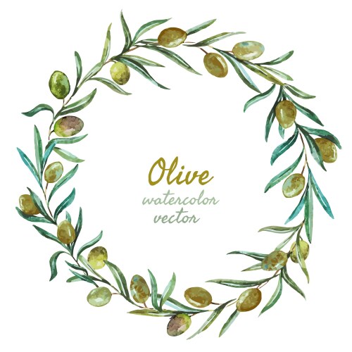 Watercolor frame olive branches Royalty Free Vector Image