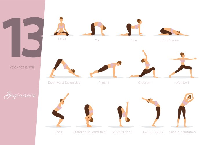 13 Beginner Yoga Poses Vector Image