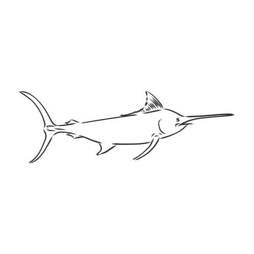 Sketch of a Swordfish Vector Image