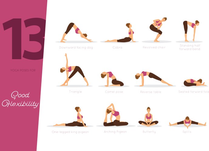 13 Yoga Poses for Flexibility & Wellness Vector Image