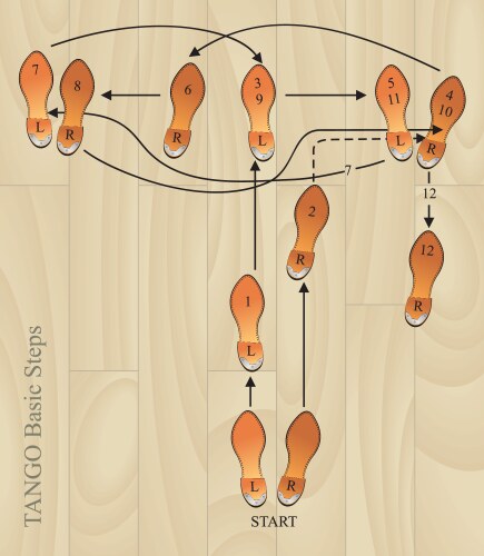 Tango basic steps vector image