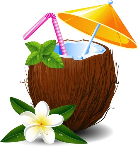 Tropical Coconut Drink Vector Image