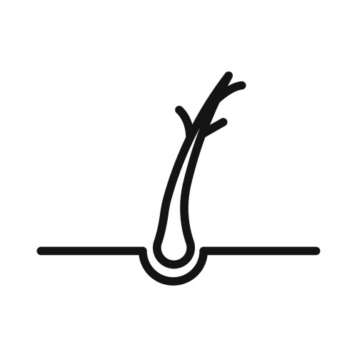 Hair Root Vector Images (over 3,000)