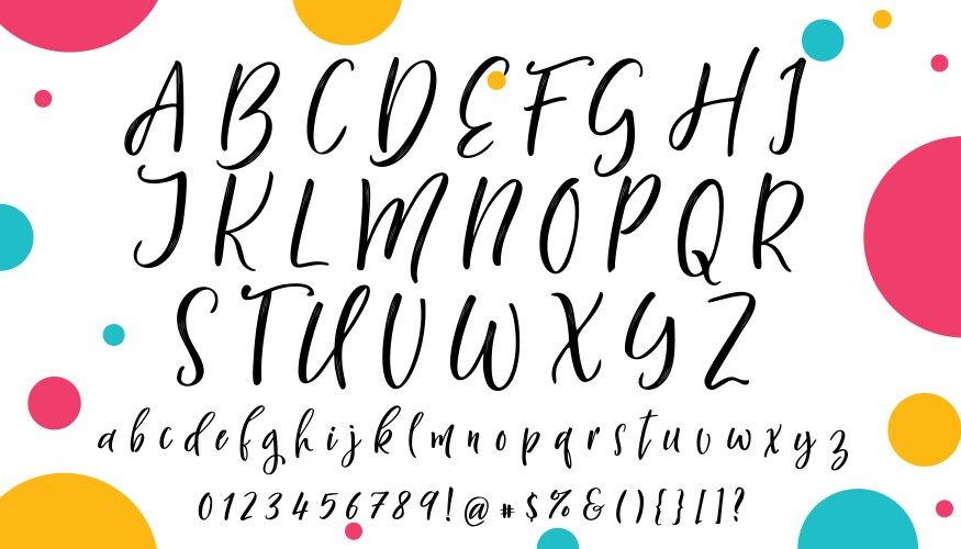 Handwritten Calligraphy Alphabet Font Vector Image