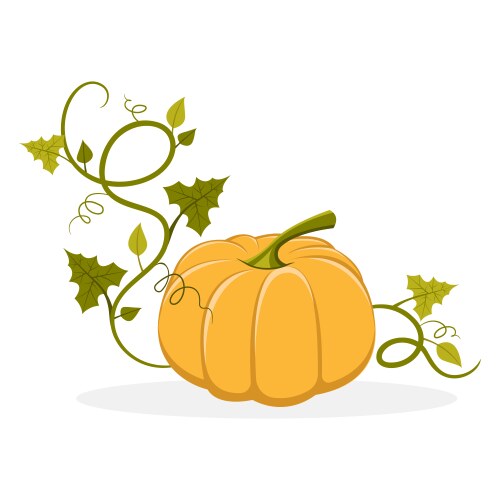 Ripe Pumpkin with Leafy Stem Vector Image