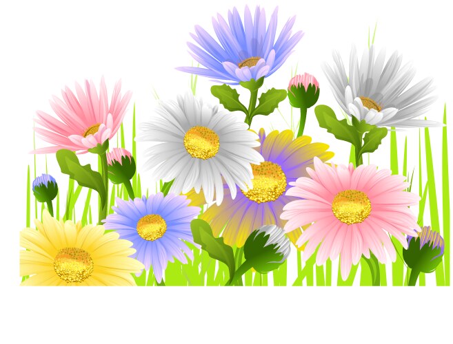 Spring background with daisies and fresh green Vector Image