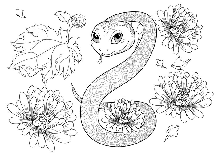 Japanese Snake Coloring Page Vector Image