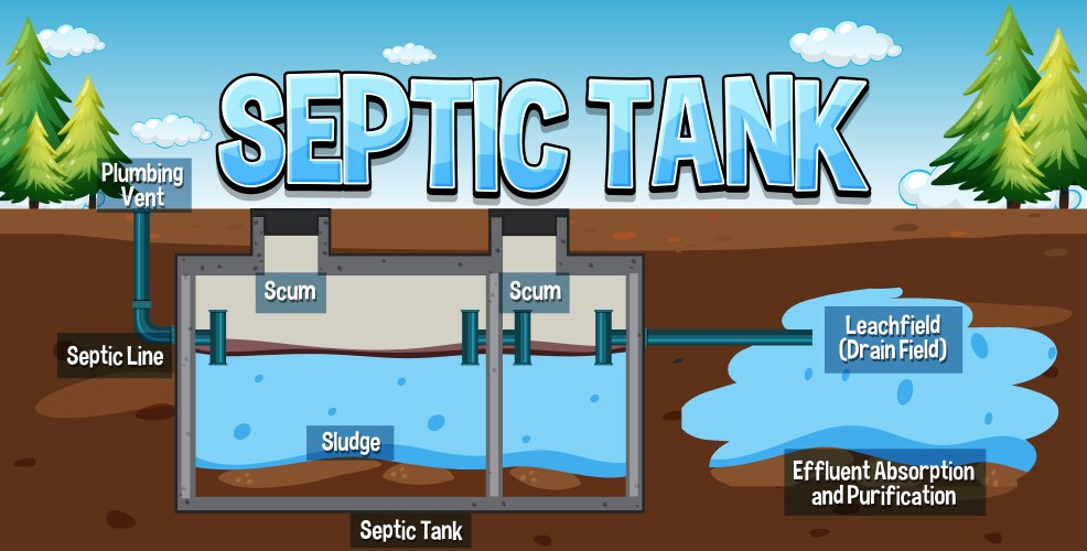 Septic tank system diagram vector image