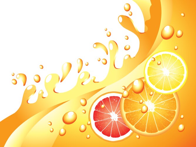 citrus splash horizontal background vector image