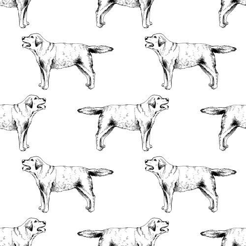 Seamless pattern with hand drawn jack russel Vector Image
