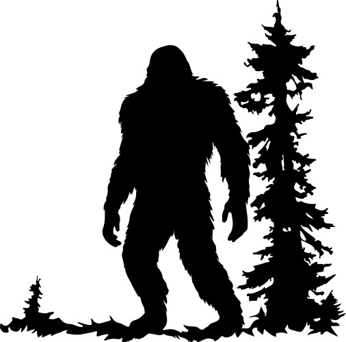 BIG O BIGFOOT A/S Photo 5