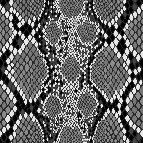 seamless snake skin pattern exotic african vector image