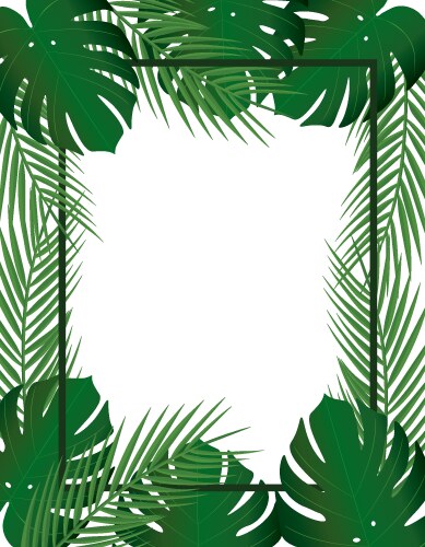 Frame tropical leaves summer background Royalty Free Vector