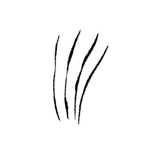 Animal scratche concept Vector Image