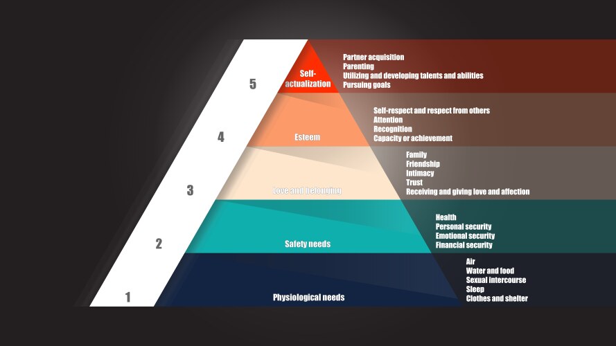 maslows hierarchy of needs vector image