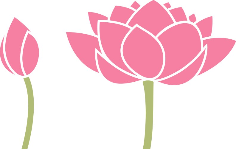 Lotus flower vector image