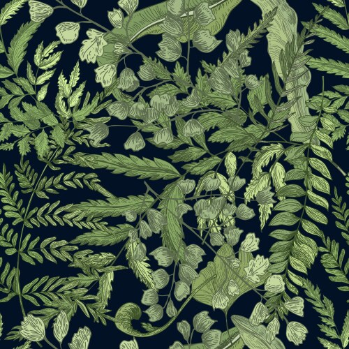 Fern green foliage on black background hand drawn Vector Image