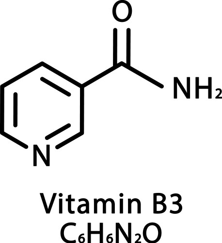 Vitamin b3 nicotinamide molecular structure vector image