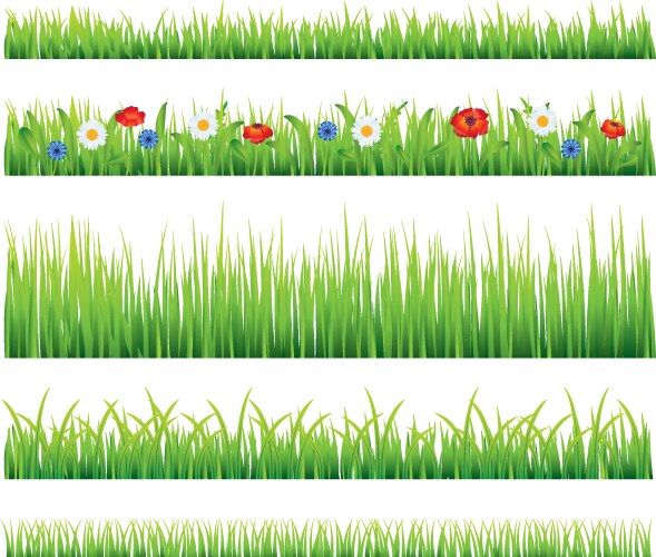 Green grass with plants border set isolated Vector Image