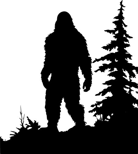 BIG O BIGFOOT A/T II Photo 5