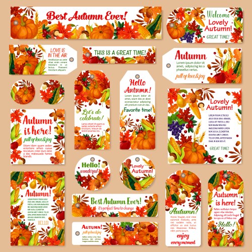 Autumn Harvest Tag & Leaf Set Vector Image