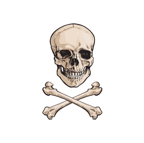 Cartoon Skull and Crossbones Vector Image