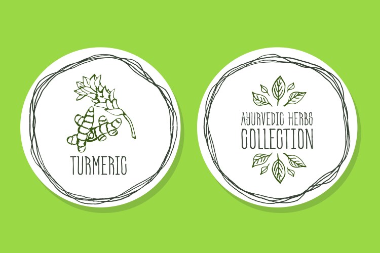 Turmeric Vector Images & Graphics for Commercial Use | VectorStock