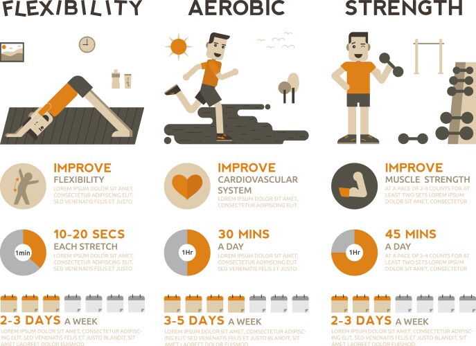 Exercise infographic vector image