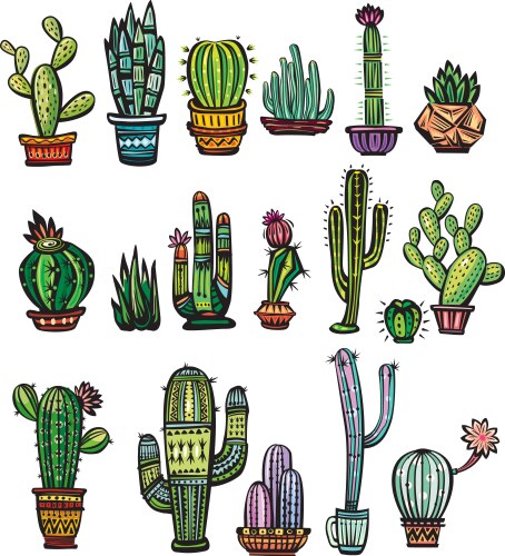 Vibrant Cactus and Succulent Collection Vector Image