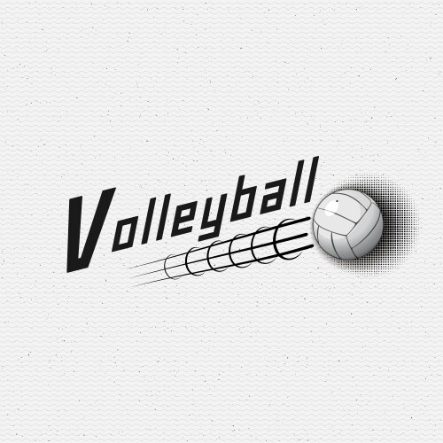Volleyball Badge & Label Collection Vector Image