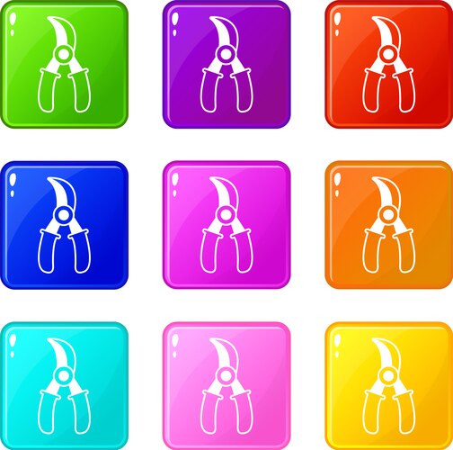 Grape scissors icons set 9 color collection vector image