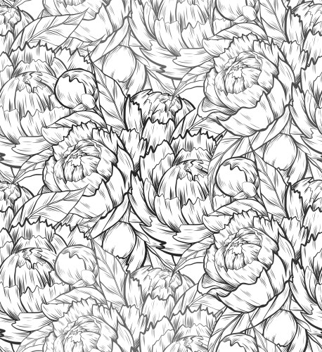 Peony flower seamless pattern drawing hand Vector Image