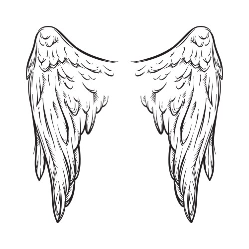 Elegant Angel Wings Flash Tattoo Vector Image