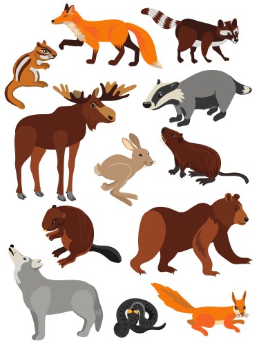 Cute Animal Drawing Set Vector Image