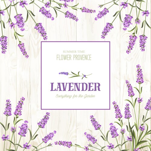 Spring invitation card Royalty Free Vector Image