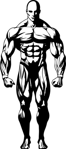 Bodybilding in black and white Vector Image