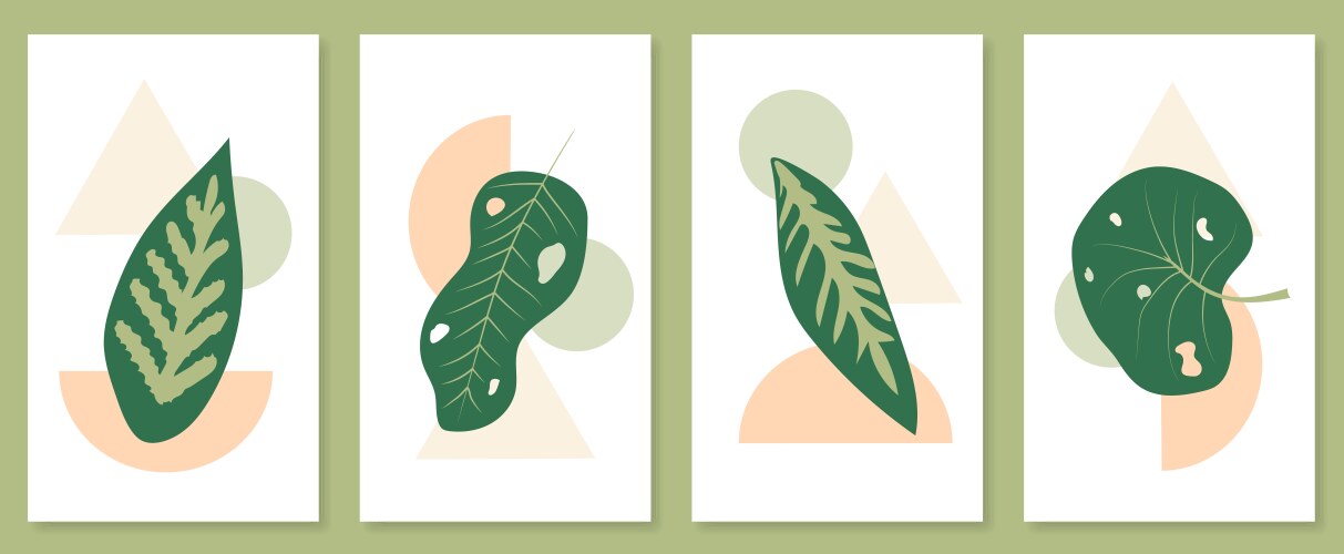 abstract botanical wall art set vector