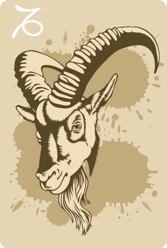 Capricorn Zodiac Goat Vector Image