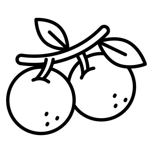 Longan Fruit Vector Images (over 1,400)